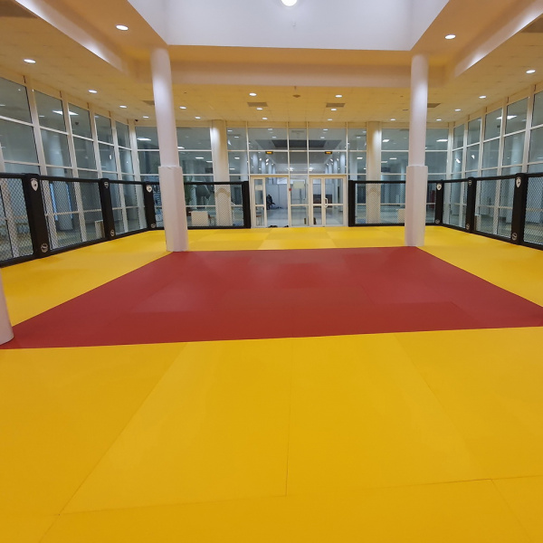 Татами JUDO 160 кг/м³