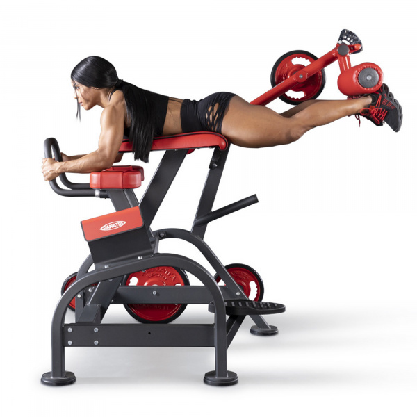 Обратная гиперэкстензия Panatta 1FW096